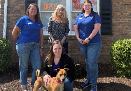 Successful 2025 Dog Days of Summer Campaign