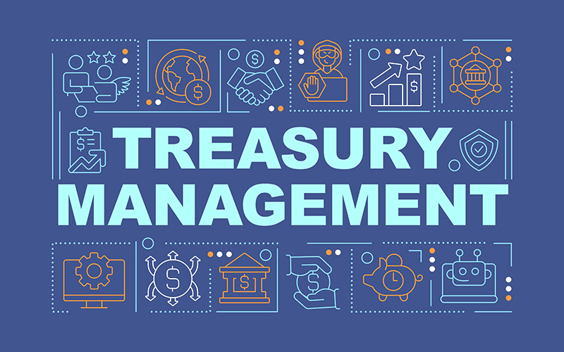 What is Treasury Management?